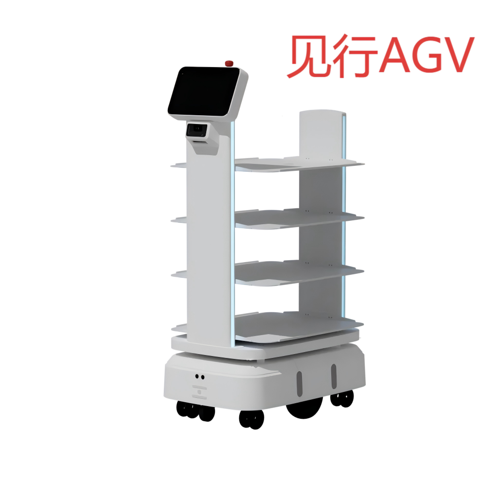 Track inspection robot